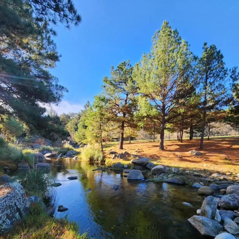 Cabaña de ensueño en las sierras de córdoba - Chalet de 3 dormitorios - 2