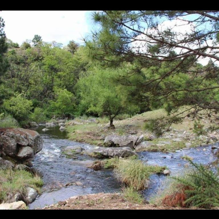 Cabaña de ensueño en las sierras de córdoba - Chalet de 3 dormitorios - 41