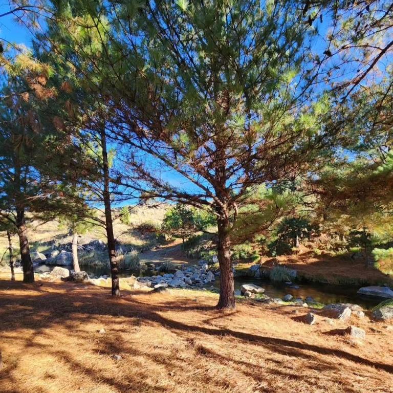 Cabaña de ensueño en las sierras de córdoba - Chalet de 3 dormitorios - 43