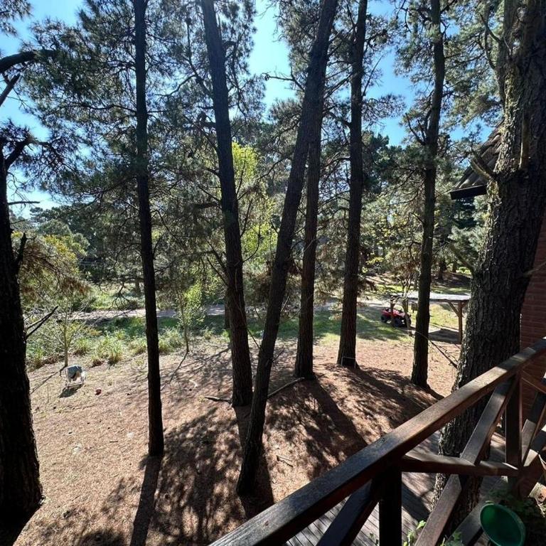 Casa de Playa muy cerca de la playa y el centro - Two-Bedroom House - 29