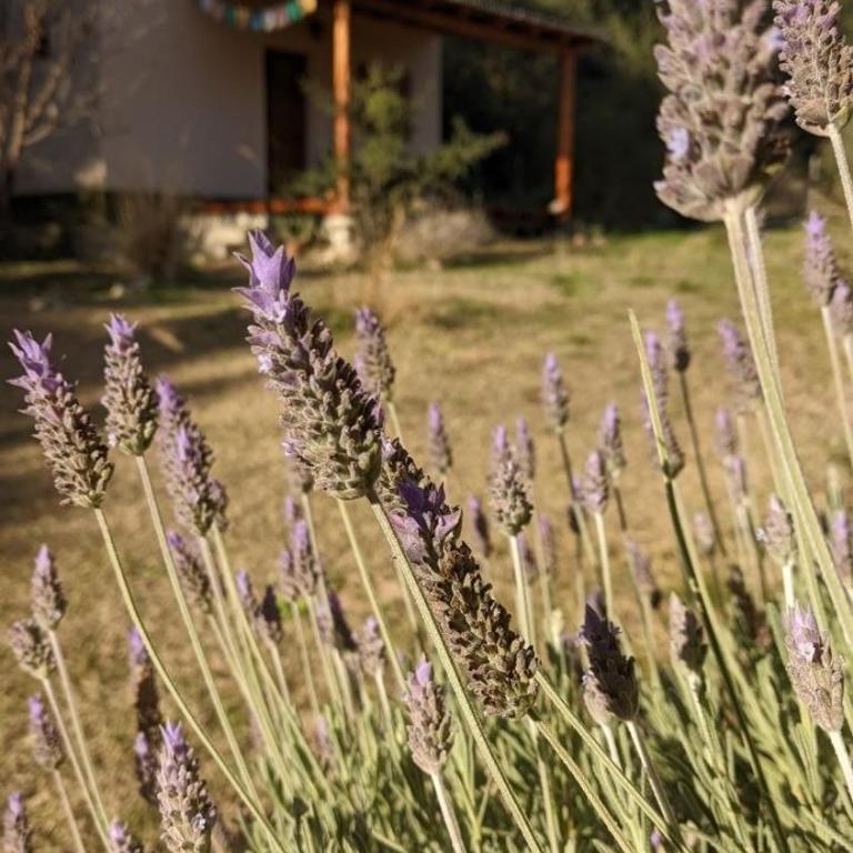 La Serrania Madre María - Casa con 1 dormitorio - 23