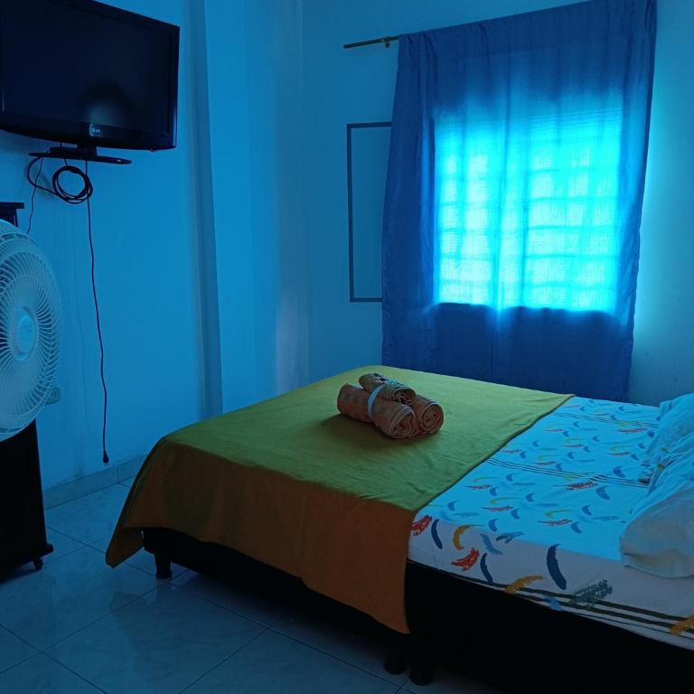 Spp apartamentos - Apartamento de 1 dormitorio - 5