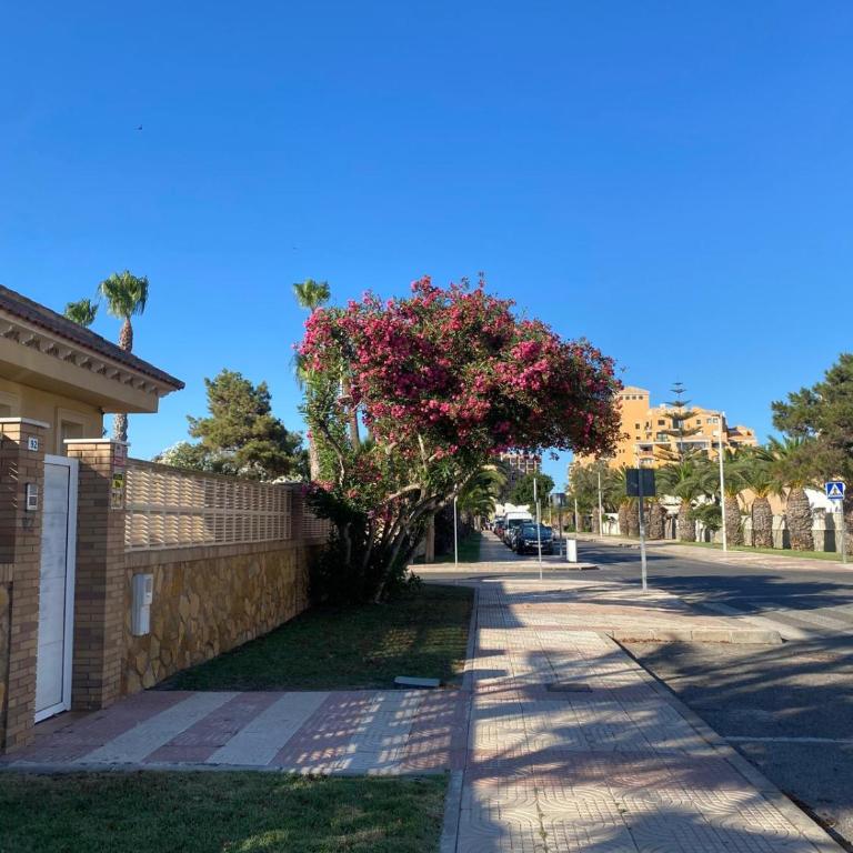 Casa Luma Sol - Two-Bedroom Apartment - 15