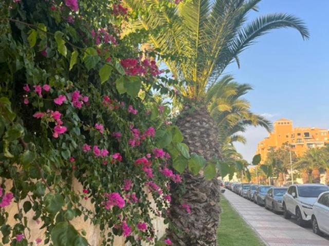 Casa Luma Sol - Two-Bedroom Apartment - 17