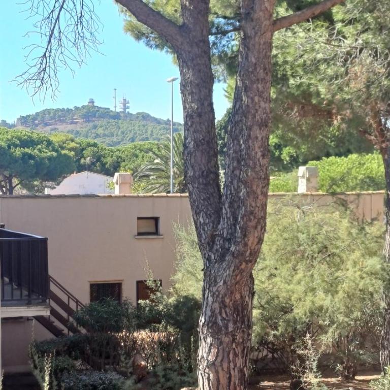 L'Écrin du Sud 4P Élégant, Clim , Piscine, 50m Village Naturiste - Appartamento con 1 Camera da Letto - 4