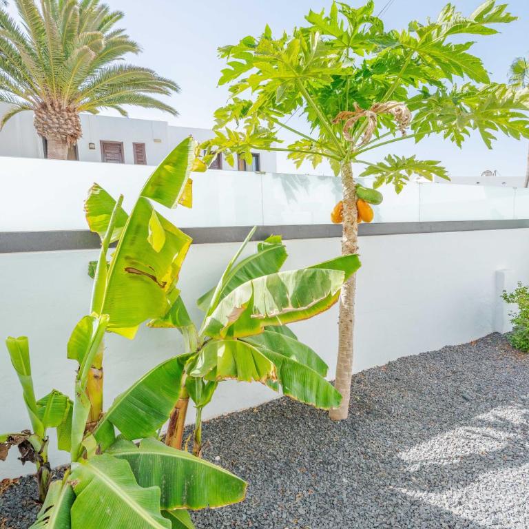 Casa Marlena - Private Terrace- 4 min to the beach by Lanzarote Vacation Homes - Villa con 3 Camere da Letto - 74