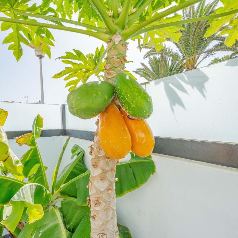 Casa Marlena - Private Terrace- 4 min to the beach by Lanzarote Vacation Homes - Villa con 3 Camere da Letto - 76