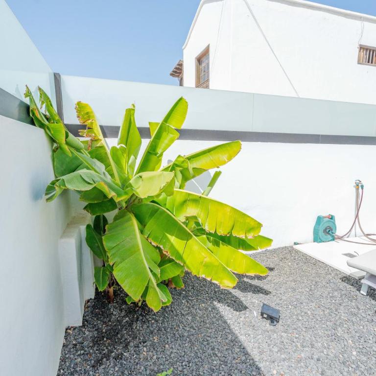 Casa Marlena - Private Terrace- 4 min to the beach by Lanzarote Vacation Homes - Villa con 3 Camere da Letto - 75