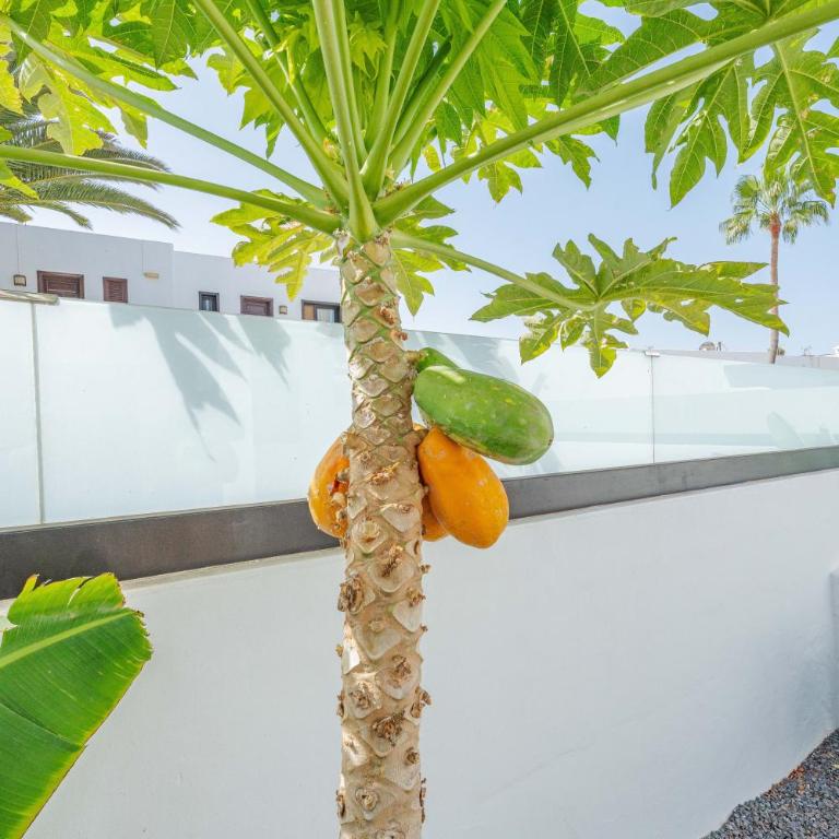 Casa Marlena - Private Terrace- 4 min to the beach by Lanzarote Vacation Homes - Villa con 3 Camere da Letto - 77