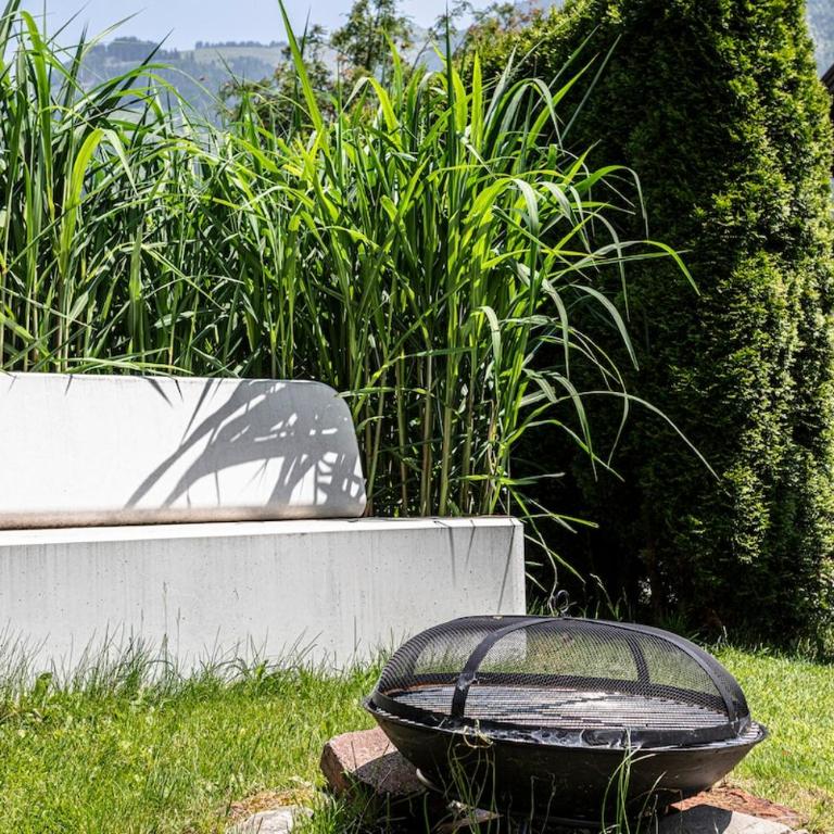 2025 Newly renovated holiday apartment Tauernblick - Appartamento con 2 Camere da Letto - 5