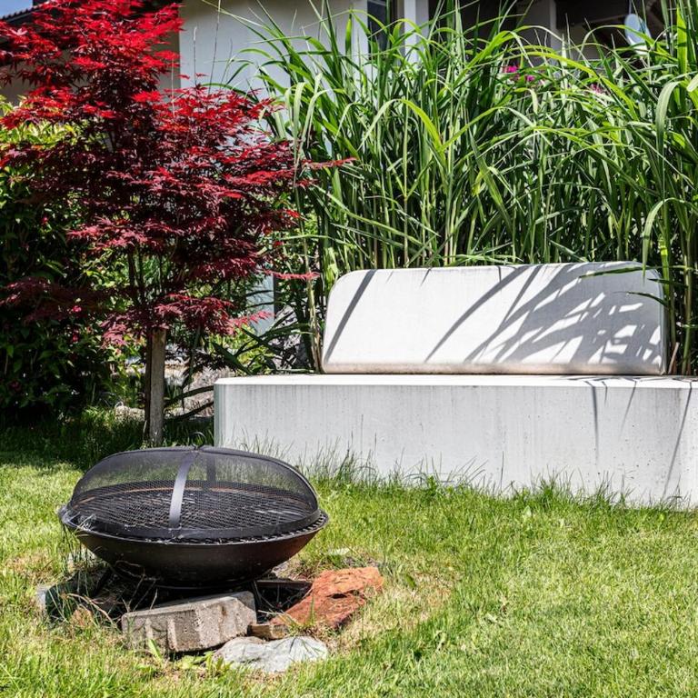 2025 Newly renovated holiday apartment Tauernblick - Appartamento con 2 Camere da Letto - 6