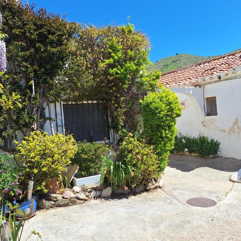 Casita Tomate - Haus mit 1 Schlafzimmer - 2