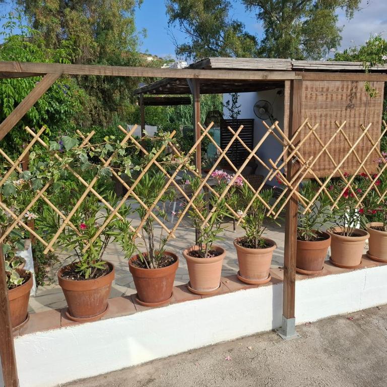 La Sureña - Apartamento de 1 dormitorio - 13