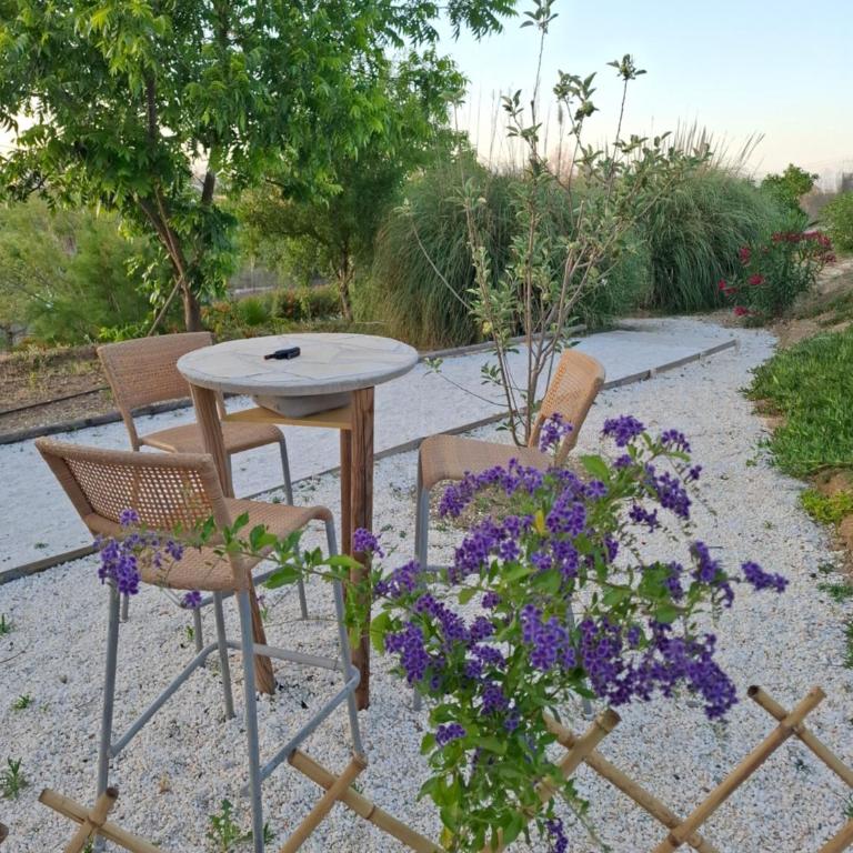 La Sureña - Apartamento de 1 dormitorio - 22