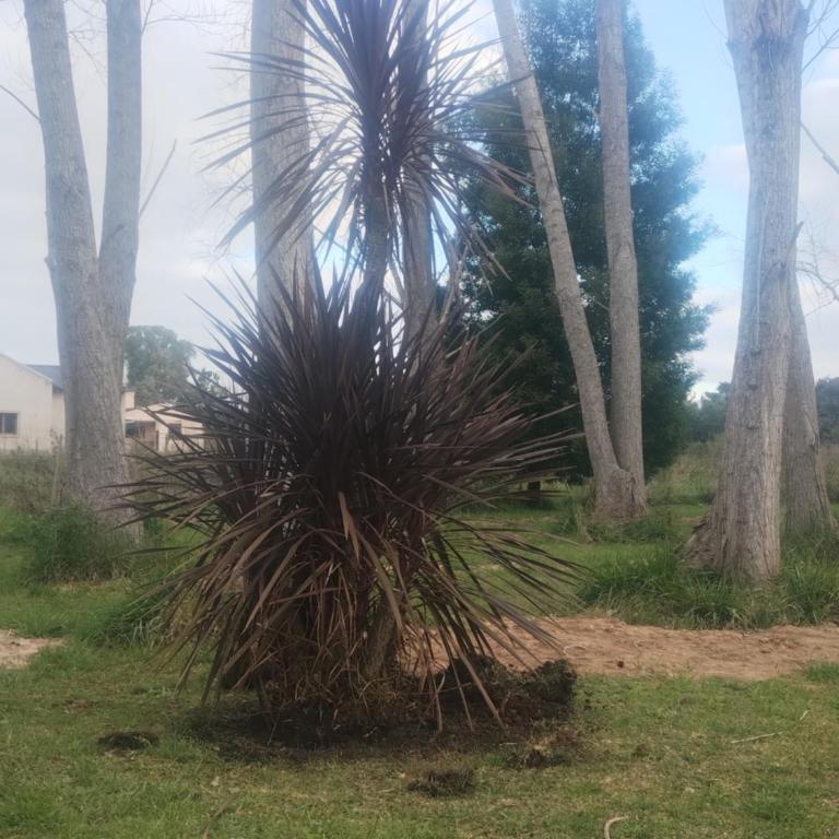 La alameda - Villa de 2 dormitorios - 18