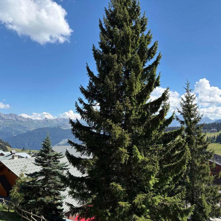 Appartement avec animaux, vue montagne - 5 pers. - FR-1-293-128 - Apartamento (5 adultos) - 13