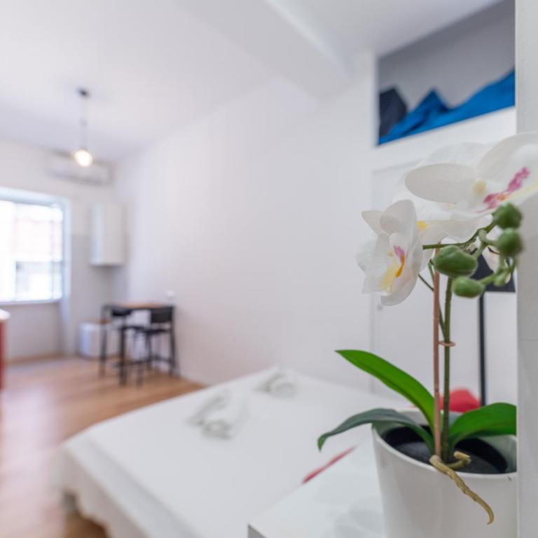 Casa Achille - Piazza Bologna - Apartamento de 1 dormitorio - 11