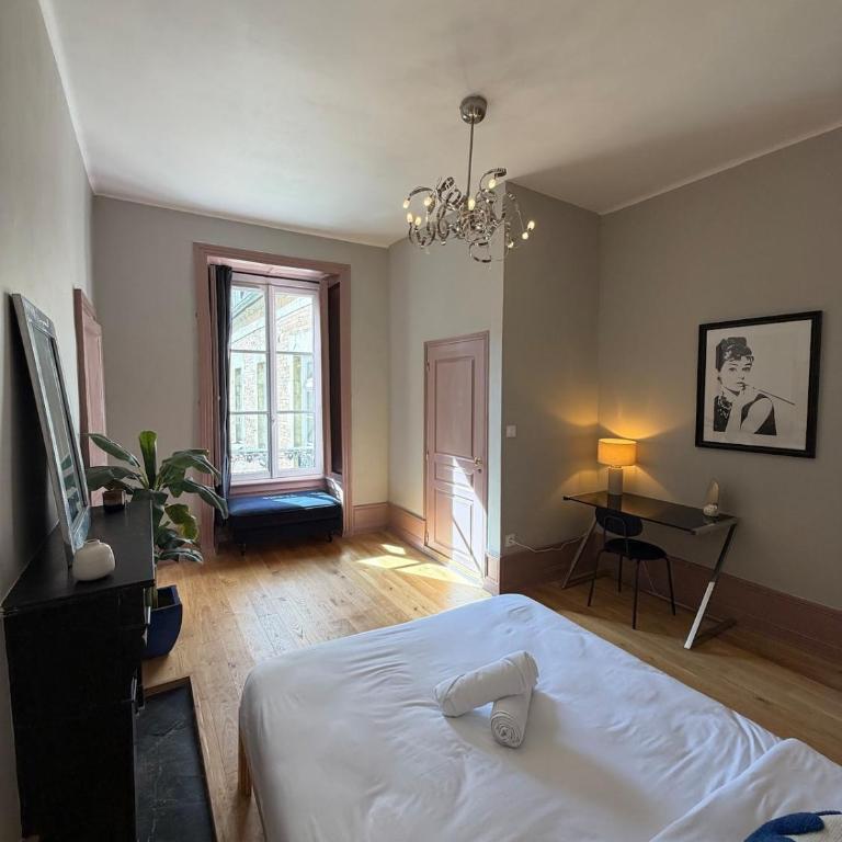 Casa Hausmania - Hypercentre - Apartment mit 3 Schlafzimmern - 8