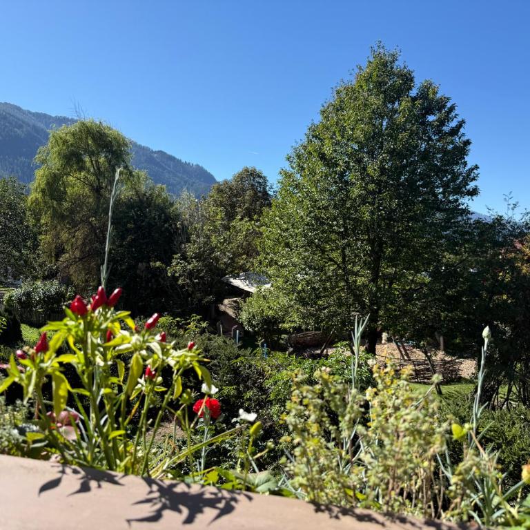 Rosa Alpina - Appartamento di charme nelle Dolomiti - Appartamento con 2 Camere da Letto - 18