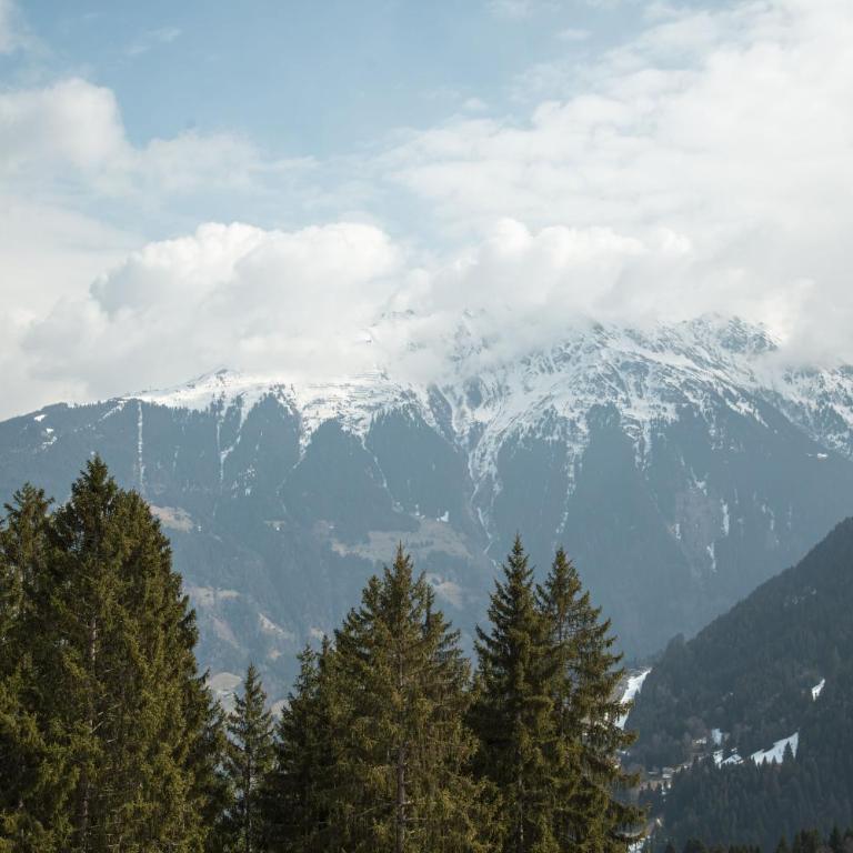 Berggasthof Grabs - Doppelzimmer - 1