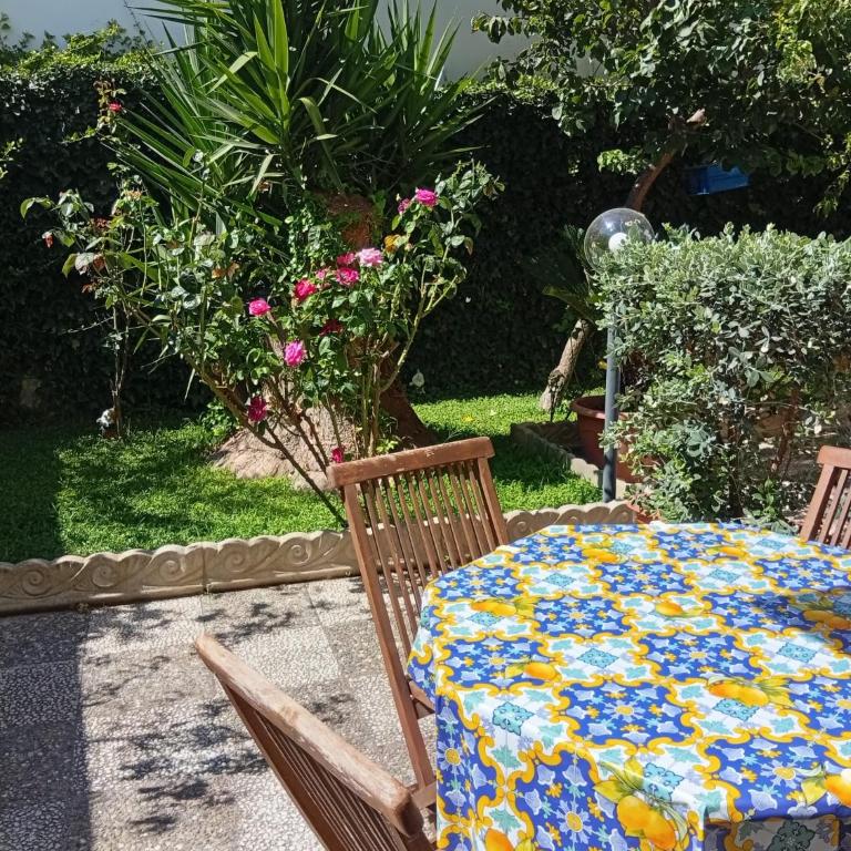 Profumo di Mare - Monolocale con Vista Giardino - 8
