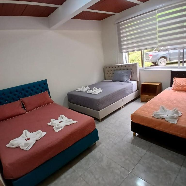 Hotel Campestre Buena Vista Desayuno incluido - Habitación Familiar con baño privado - 1