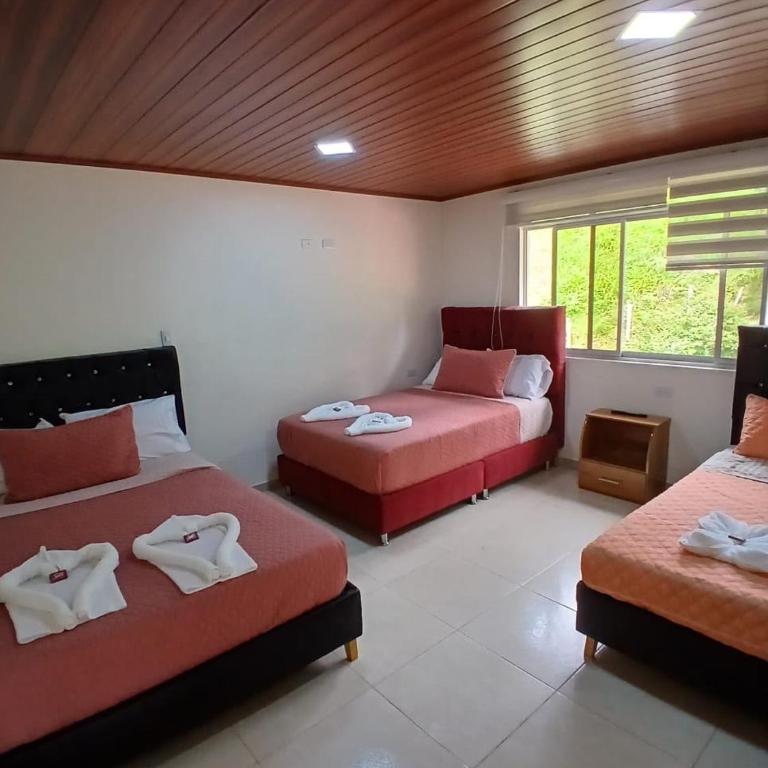 Hotel Campestre Buena Vista Desayuno incluido - Habitación Familiar con baño privado - 3