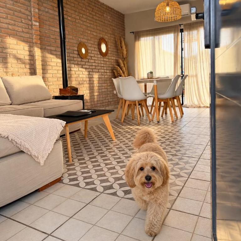Calma - Two-Bedroom House - 6