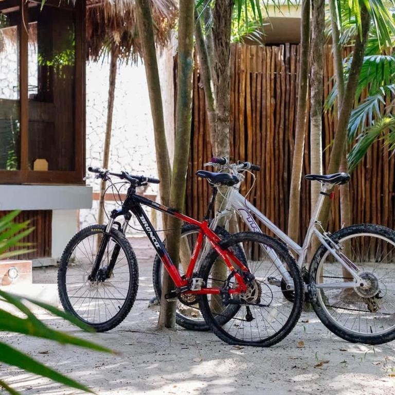 Casa Xik'Nal - Luxury Beach Front Villa - Villa - 44