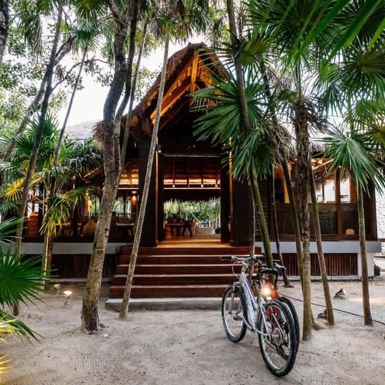 Casa Xik'Nal - Luxury Beach Front Villa - Villa - 45