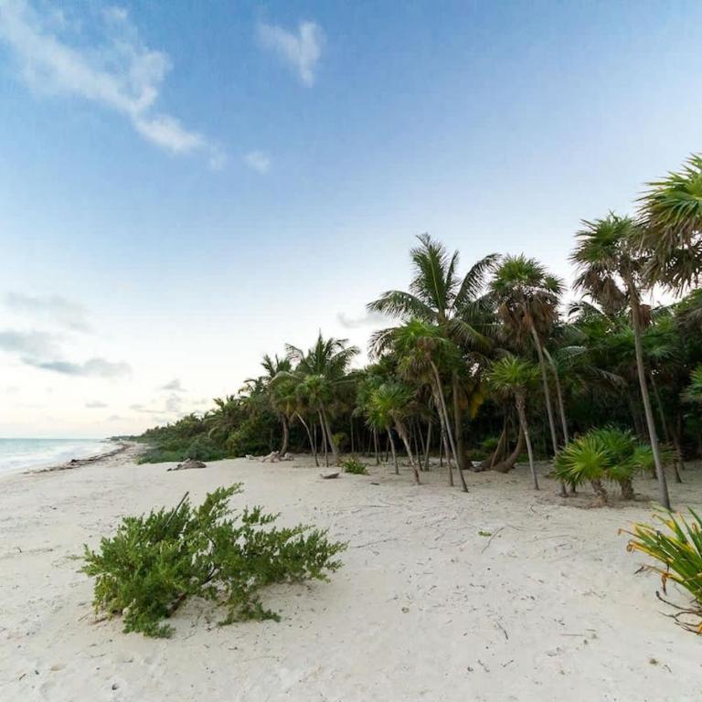 Casa Xik'Nal - Luxury Beach Front Villa - Villa - 49