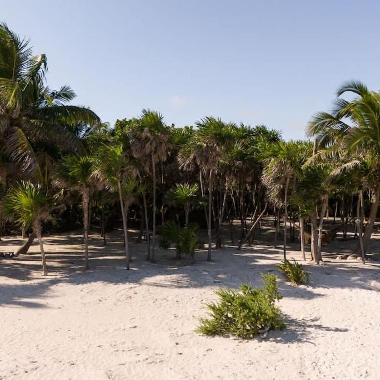 Casa Xik'Nal - Luxury Beach Front Villa - Villa - 54