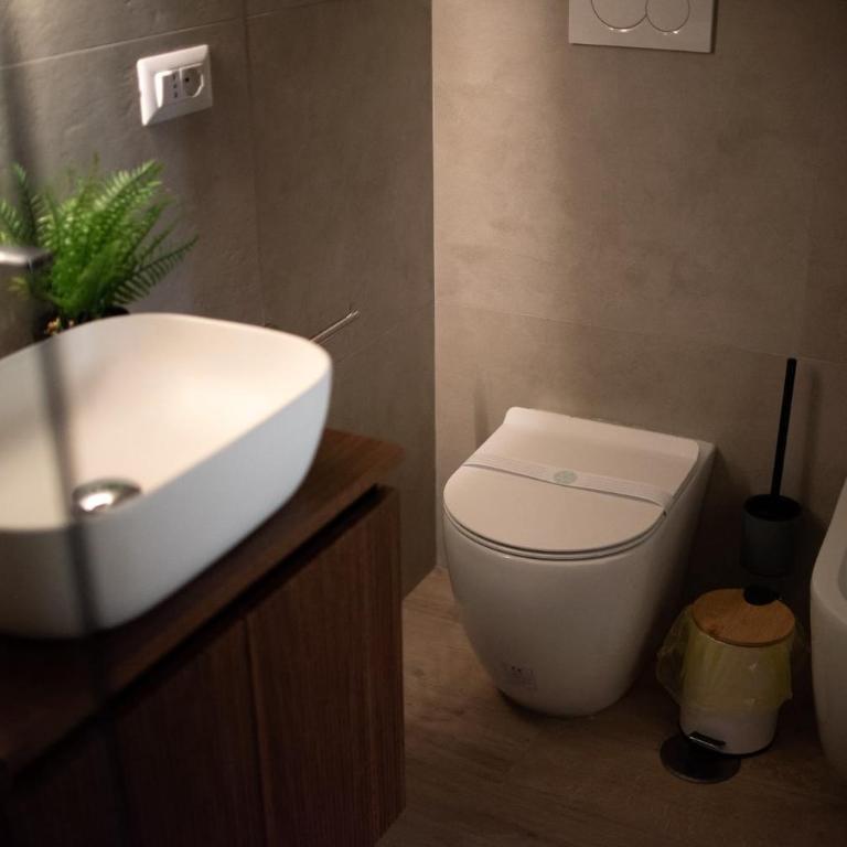Casa salvia, angolo verde nel cuore di Roma - One-Bedroom Apartment - 3