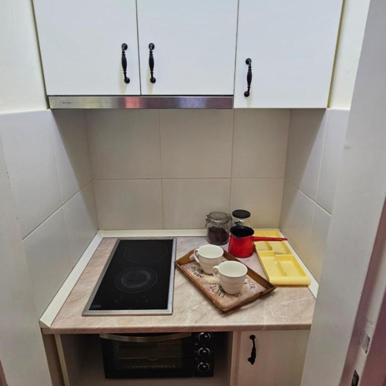 Central Niš Apartment Parking & Wi-Fi - Apartment mit 1 Schlafzimmer - 7