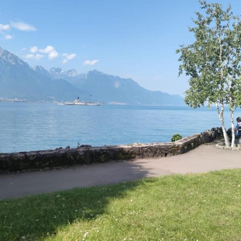 Villeneuve surrounded by beauty - Appartamento con 1 Camera da Letto - 13