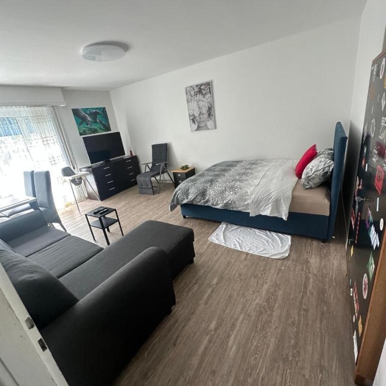 Villeneuve surrounded by beauty - Appartamento con 1 Camera da Letto - 16