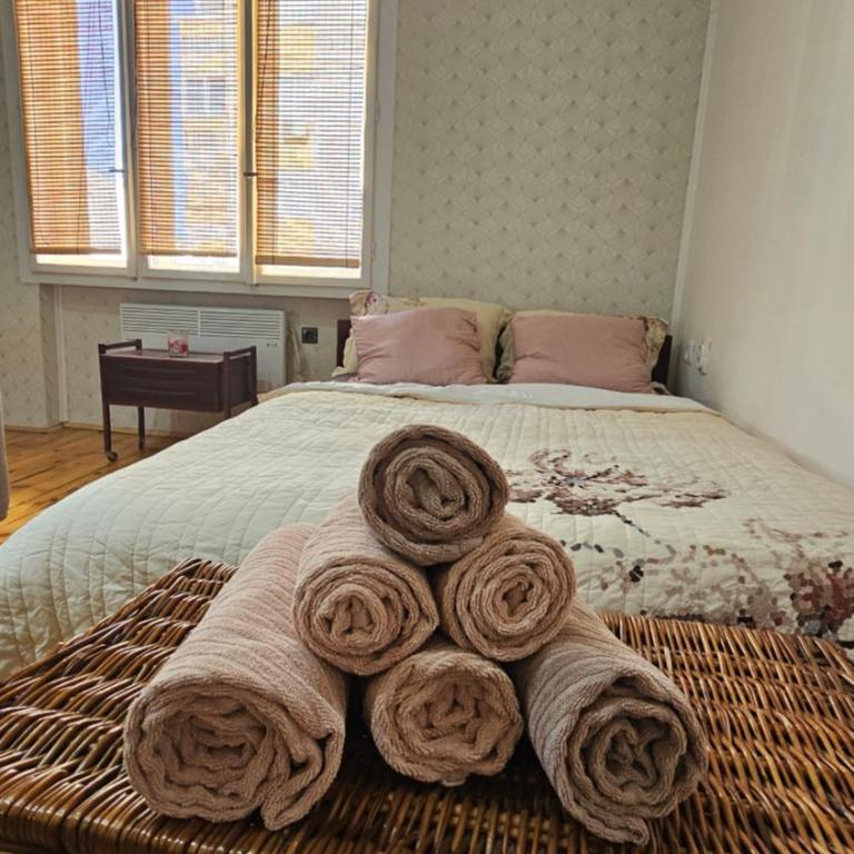 Central Niš Apartment Parking & Wi-Fi - Apartment mit 1 Schlafzimmer - 4