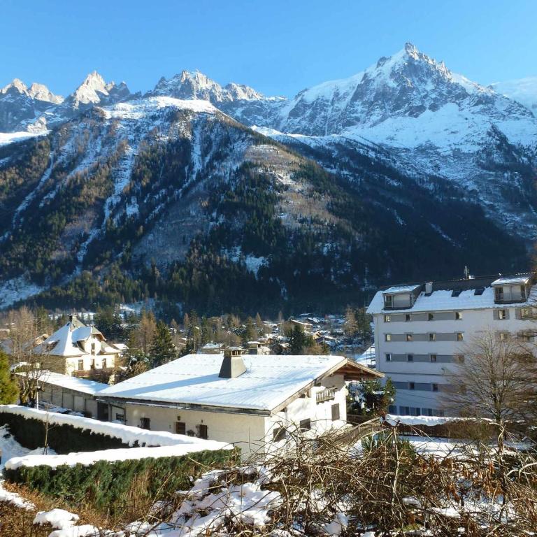 Appartement spacieux à Chamonix, 3 chambres, WiFi - Three-Bedroom Apartment - 17