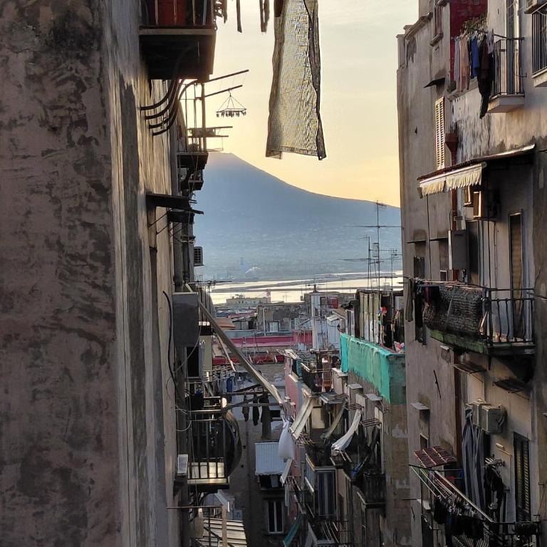Casa Dora Apartment in Naples Hystorical city center - Appartamento con 2 Camere da Letto - 14