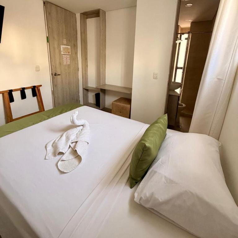 Hotel Carolina Del Mar - Habitación Individual Estándar - 3
