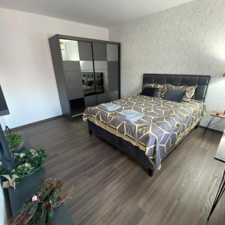 Star Studio - One-Bedroom Apartment - 5
