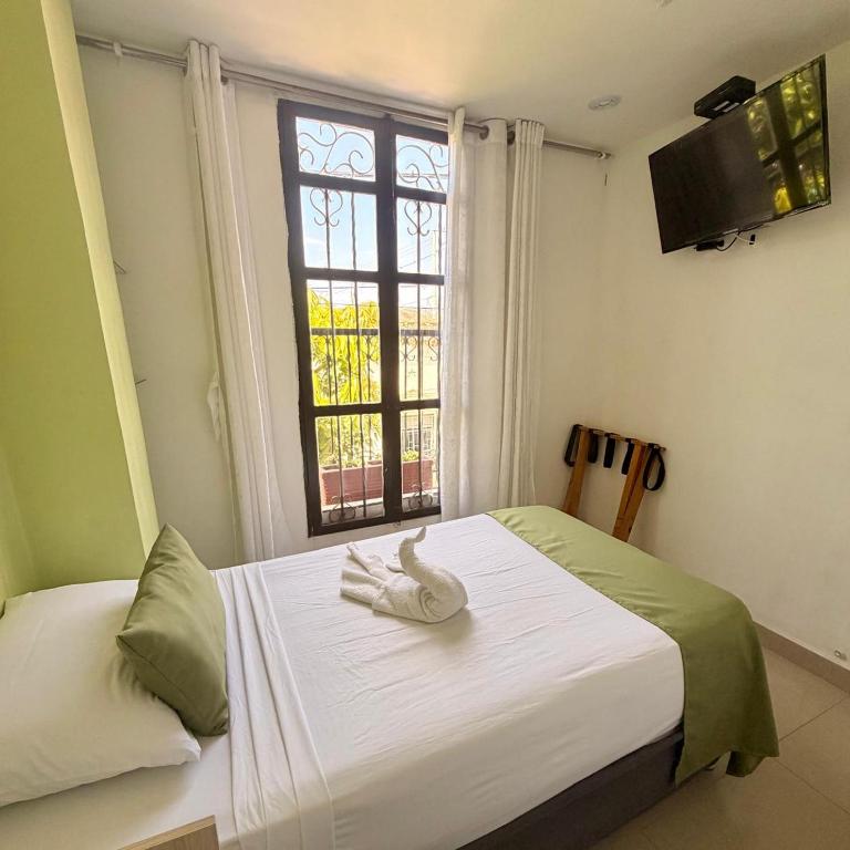 Hotel Carolina Del Mar - Habitación Individual - 2
