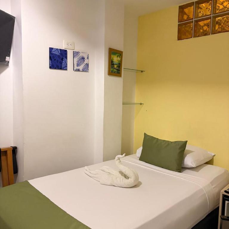Hotel Carolina Del Mar - Habitación Individual - 6