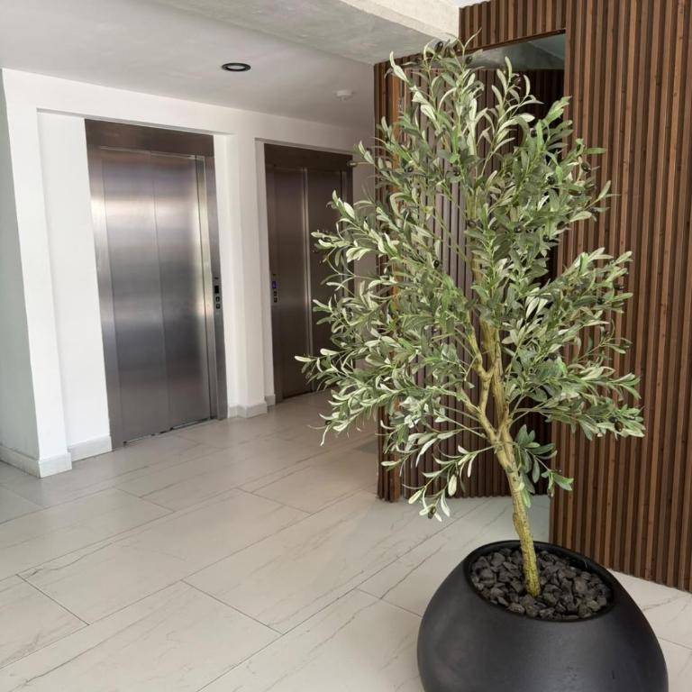 Tribu Consulado - Appartement 1 Chambre - 19
