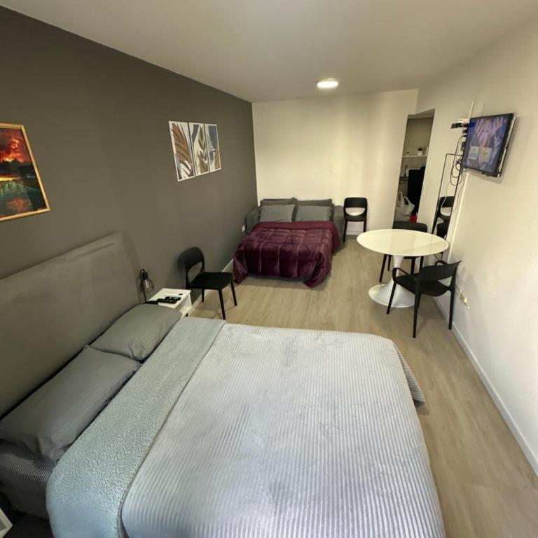 MOVISTAR ARENA PREMIUM 313 Cochera opcional y Segur a mts del Movistar Arena - One-Bedroom Apartment - 4