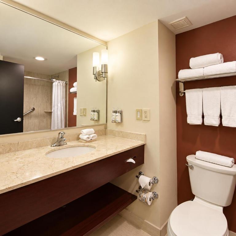 Holiday Inn Express Guadalajara Aeropuerto by IHG - Habitación con 2 camas grandes - 8