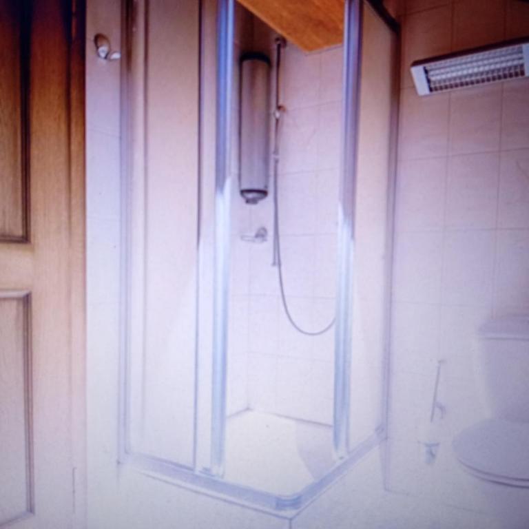 Alpine Pearl Unterseen - Casa Vacanze - 4