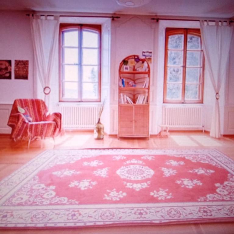 Alpine Pearl Unterseen - Casa Vacanze - 5