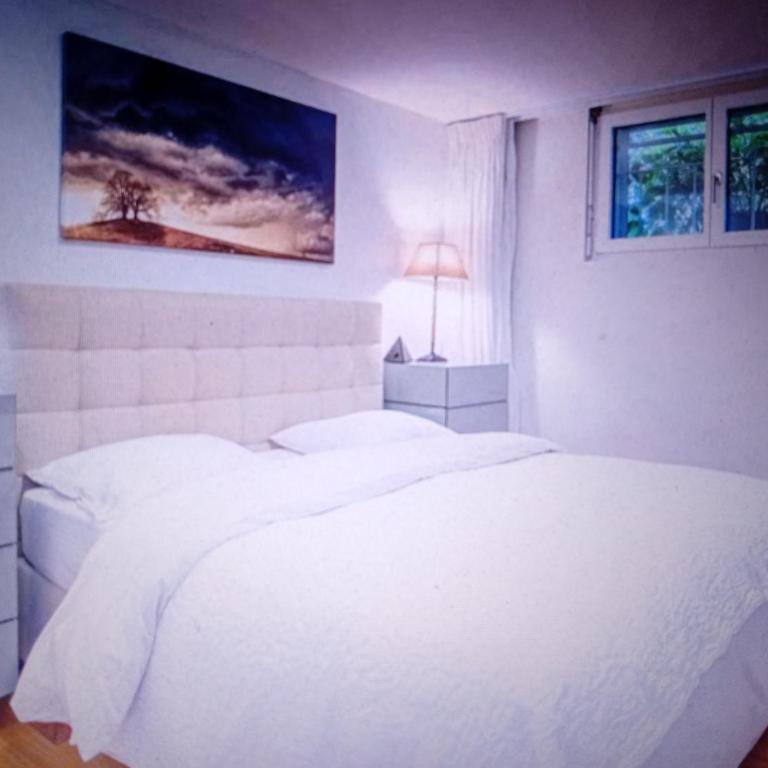 Alpine Pearl Unterseen - Casa Vacanze - 11
