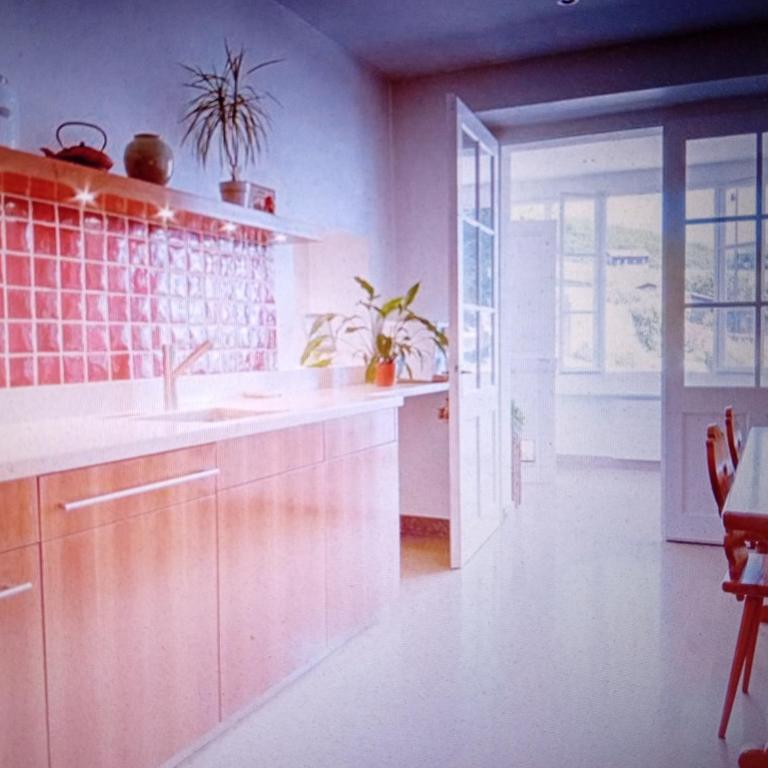 Alpine Pearl Unterseen - Casa Vacanze - 16